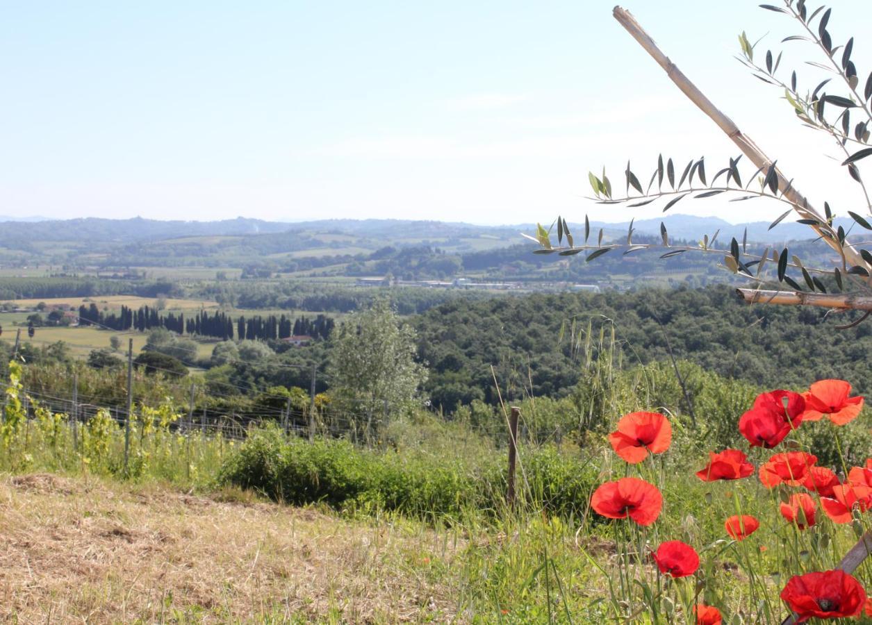 Tuscany Life Terricciola Exteriér fotografie
